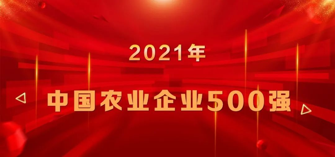 上榜|山东s36沙龙会集团再登中国农业企业500强榜单