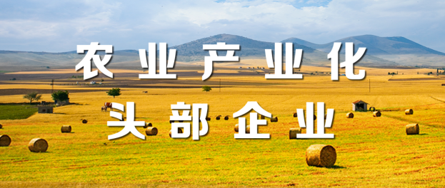 山东s36沙龙会集团荣登“2021年度农业产业化头部企业100家”“植物油行业头部企业10家”榜单