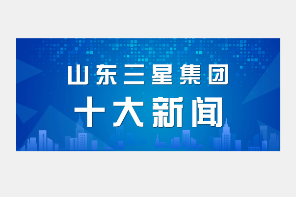 山东s36沙龙会集团2021年度十大新闻