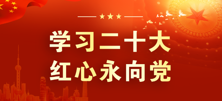 山东s36沙龙会集团：学习领会二十大 征程踏新永前行