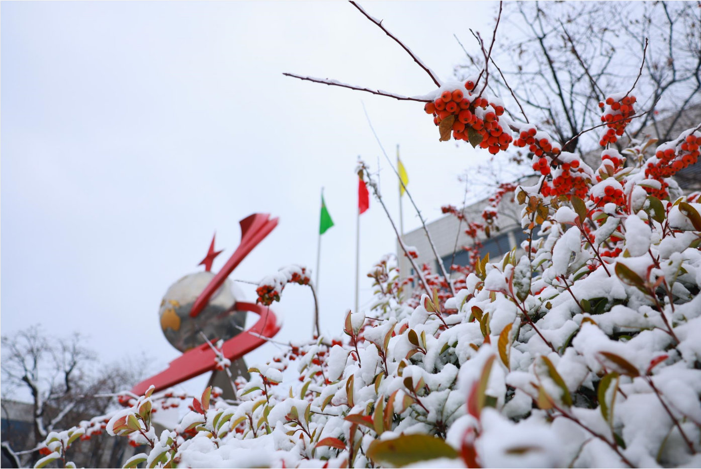 组图｜瑞雪丰年 雪遇s36沙龙会