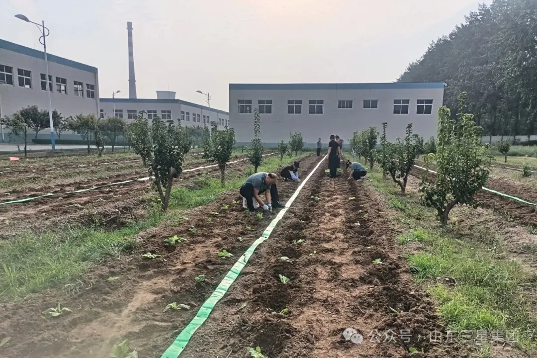 【文韵s36沙龙会】又是一年播种季 共待收获喜悦时