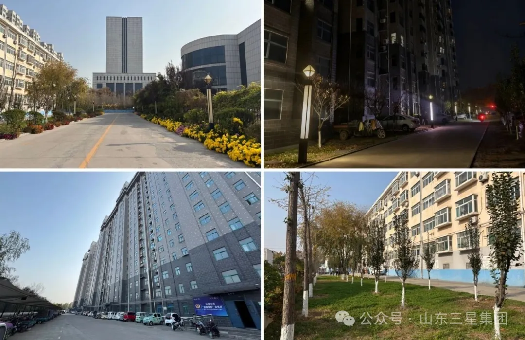 山东s36沙龙会集团:“暖心+用心”筑家 增色幸福生活