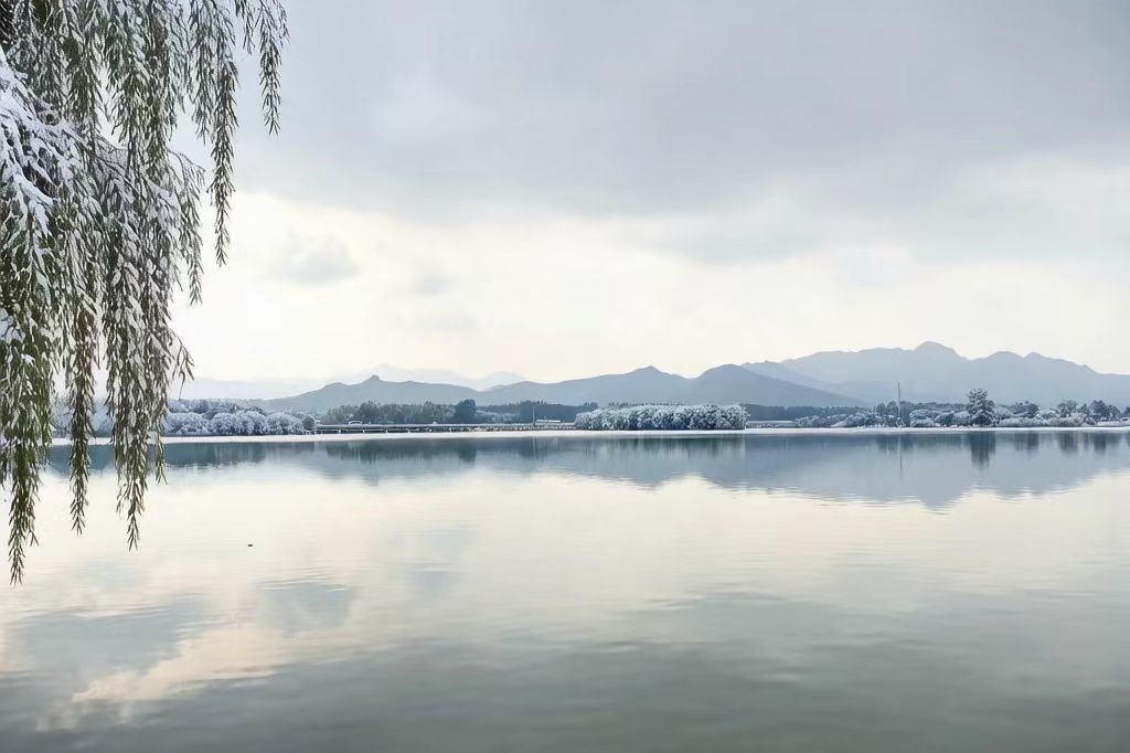 【文韵s36沙龙会】风雪皆有伴