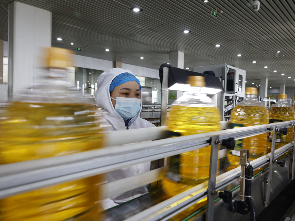 新春启航干劲足|山东s36沙龙会集团全面开工奋进新征程