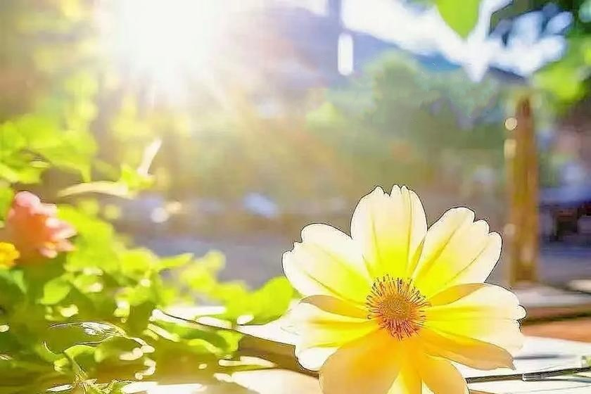 【文韵s36沙龙会】流淌进时光的美好