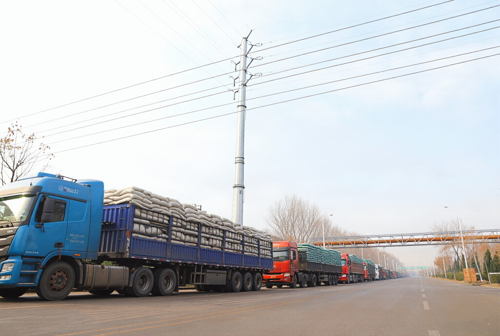 长寿花看一线|耕耘在储运 护航生产链