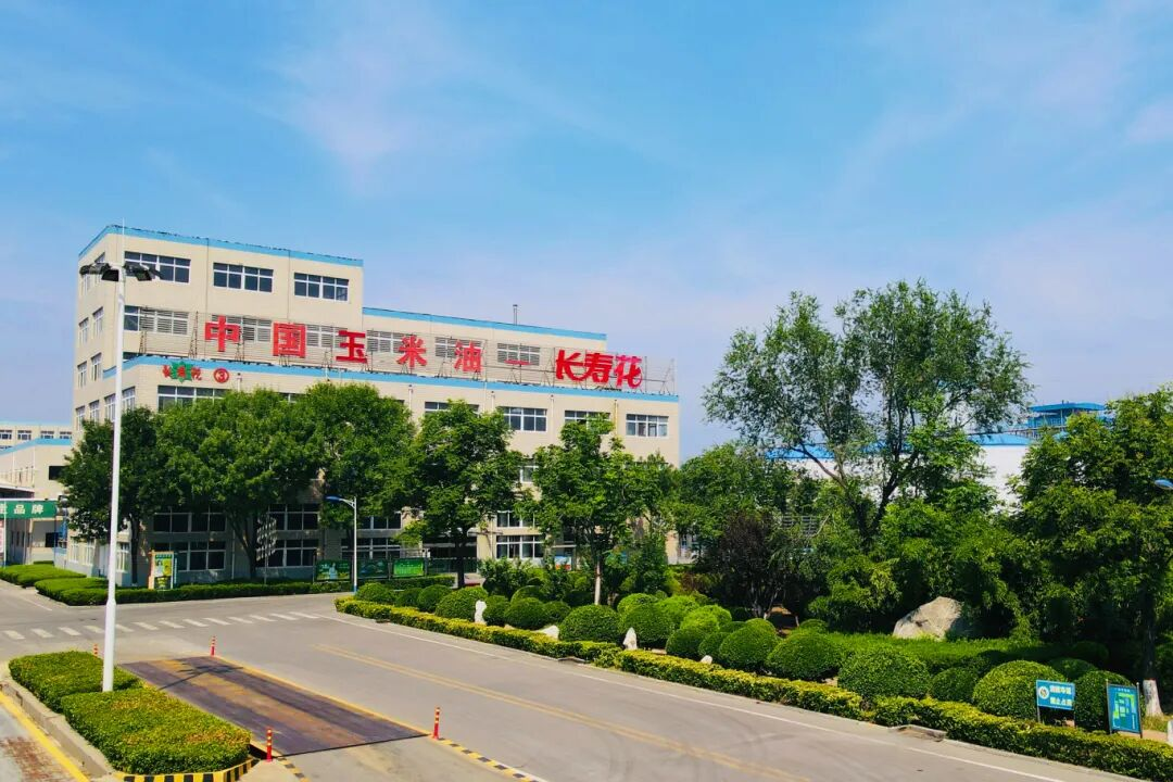 深耕粮油产业 守护民生健康——长寿花食品以品质 · 初心应答时代问卷