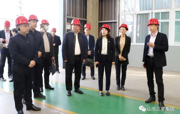 团山东省委青年发展部部长李小雪来山东s36沙龙会集团调研