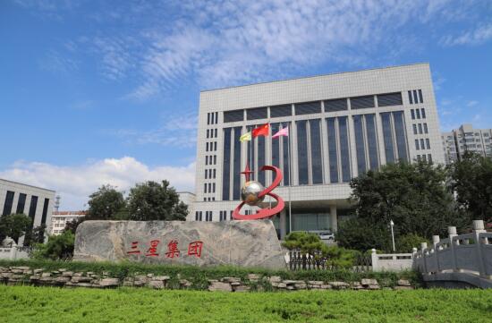 山东s36沙龙会集团，以韧性铸就非凡