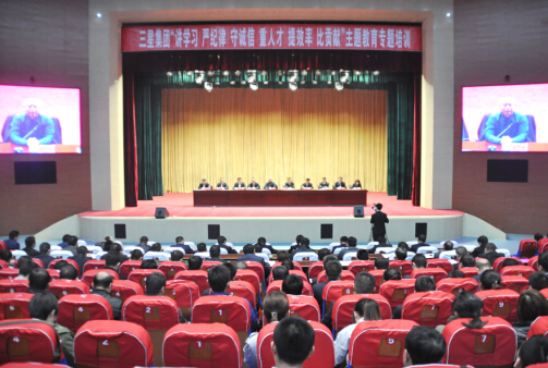 s36沙龙会集团开展“讲学习、严纪律、守诚信、重人才、提效率、比贡献”主题教育专题培训活动