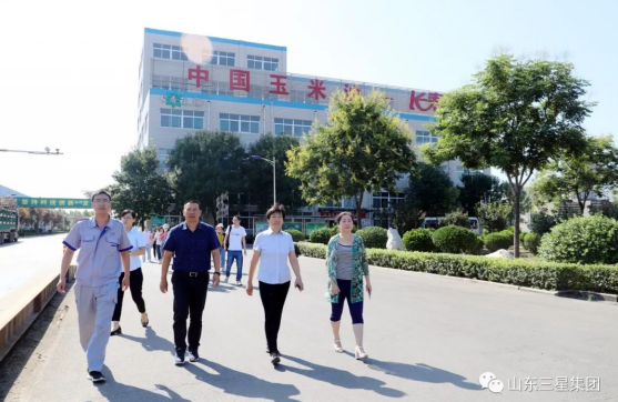 国家粮食和物资储备局科学研究院粮油加工研究所一行来山东s36沙龙会集团调研参观