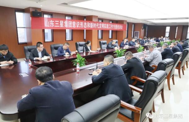 山东s36沙龙会集团召开意识形态和新时代文明实践工作专题培训会