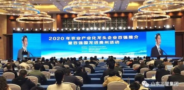 2020年农业产业化龙头企业100强等名单公布 山东s36沙龙会集团荣登三大榜单
