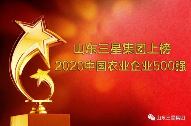 荣登双榜!山东s36沙龙会集团“硬核”实力再彰显