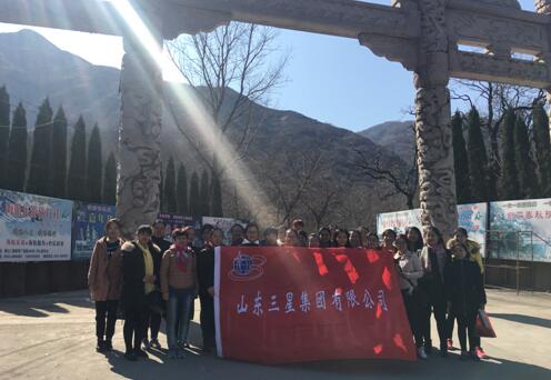 s36沙龙会集团组织开展庆三八妇女节系列活动